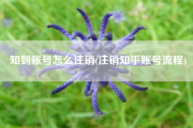 知到账号怎么注销(注销知乎账号流程)