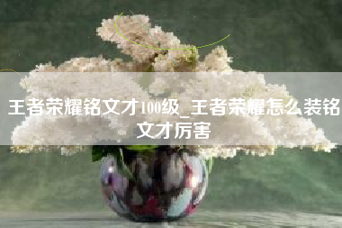 王者荣耀铭文才100级_王者荣耀怎么装铭文才厉害