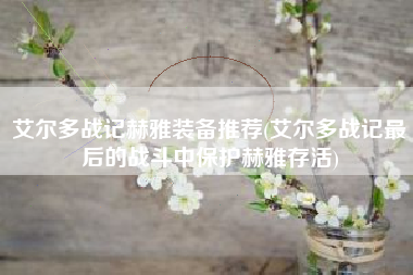 艾尔多战记赫雅装备推荐(艾尔多战记最后的战斗中保护赫雅存活)