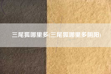 三尾狐哪里多(三尾狐哪里多阴阳)