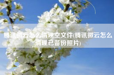 腾讯微云怎么清理空文件(腾讯微云怎么清理已备份照片)