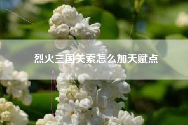 烈火三国关索怎么加天赋点