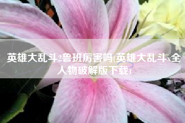 英雄大乱斗2鲁班厉害吗(英雄大乱斗x全人物破解版下载)