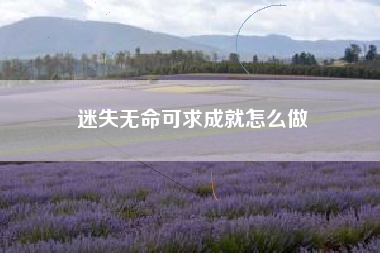 迷失无命可求成就怎么做