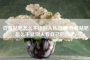 百度贴吧怎么不让别人私信我(百度贴吧怎么不让别人看自己的历史)