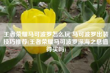 王者荣耀马可波罗怎么玩 马可波罗出装技巧推荐(王者荣耀马可波罗深海之息值得买吗)