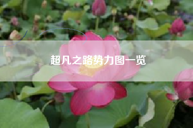 超凡之路势力图一览