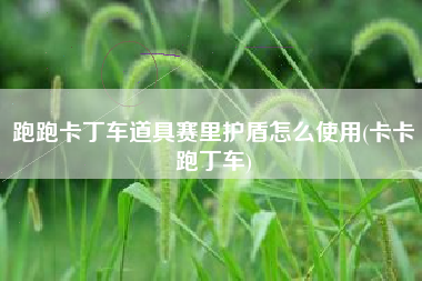 跑跑卡丁车道具赛里护盾怎么使用(卡卡跑丁车)