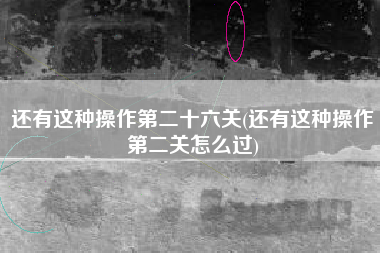 还有这种操作第二十六关(还有这种操作第二关怎么过)