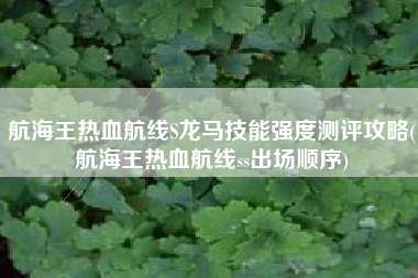 航海王热血航线S龙马技能强度测评攻略(航海王热血航线ss出场顺序)