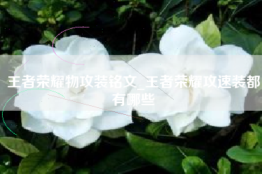 王者荣耀物攻装铭文_王者荣耀攻速装都有哪些