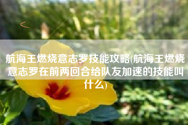 航海王燃烧意志罗技能攻略(航海王燃烧意志罗在前两回合给队友加速的技能叫什么)