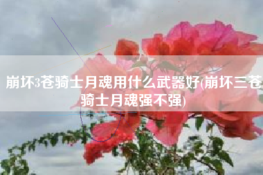 崩坏3苍骑士月魂用什么武器好(崩坏三苍骑士月魂强不强)