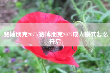 赛博朋克2077(赛博朋克2077成人模式怎么开启)