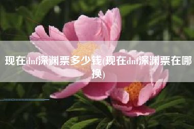 现在dnf深渊票多少钱(现在dnf深渊票在哪换)