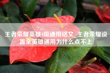 王者荣耀英雄4级通用铭文_王者荣耀设置全英雄通用为什么点不上