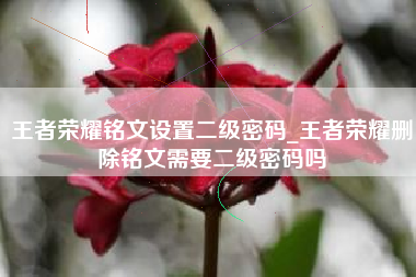 王者荣耀铭文设置二级密码_王者荣耀删除铭文需要二级密码吗
