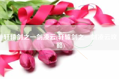 轩辕剑之一剑凌云(轩辕剑之一剑凌云攻略)