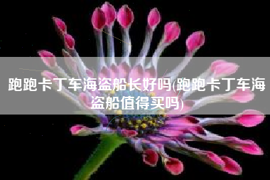 跑跑卡丁车海盗船长好吗(跑跑卡丁车海盗船值得买吗)