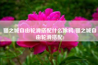猫之城自由轮滑搭配什么涂鸦(猫之城自由轮滑搭配)