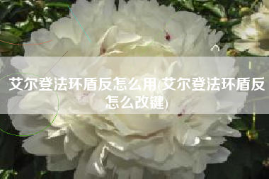 艾尔登法环盾反怎么用(艾尔登法环盾反怎么改键)