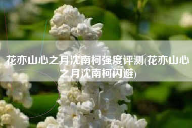 花亦山心之月沈南柯强度评测(花亦山心之月沈南柯闪避)