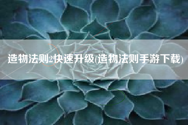 造物法则2快速升级(造物法则手游下载)