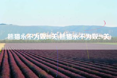 熊猫永不为奴28关(熊猫永不为奴29关)