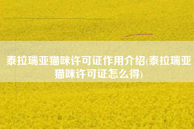 泰拉瑞亚猫咪许可证作用介绍(泰拉瑞亚猫咪许可证怎么得)