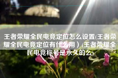 王者荣耀全民电竞定位怎么设置(王者荣耀全民电竞定位有什么用）(王者荣耀全民电竞称号是永久的么)