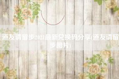 道友请留步2021最新兑换码分享(道友请留步图片)