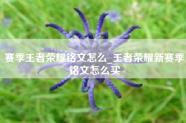 赛季王者荣耀铭文怎么_王者荣耀新赛季铭文怎么买