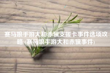 赛马娘手游大和赤骥支援卡事件选项攻略 (赛马娘手游大和赤骥事件)