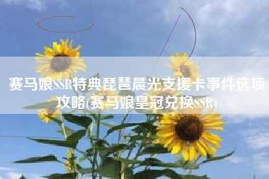 赛马娘SSR特典琵琶晨光支援卡事件选项攻略(赛马娘皇冠兑换SSR)
