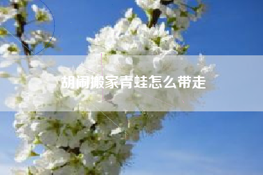 胡闹搬家青蛙怎么带走