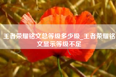 王者荣耀铭文总等级多少级_王者荣耀铭文显示等级不足 王者荣耀铭文总等级多少级_王者荣耀铭文显示等级不足