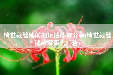 绮世裁缝铺前期玩法心得分享(绮世裁缝铺破解版去广告)