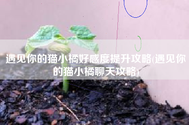 遇见你的猫小橘好感度提升攻略(遇见你的猫小橘聊天攻略)