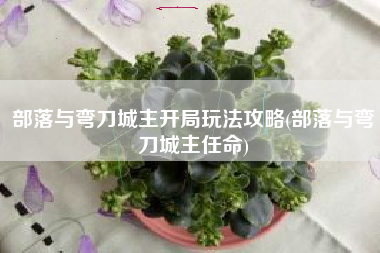 部落与弯刀城主开局玩法攻略(部落与弯刀城主任命)