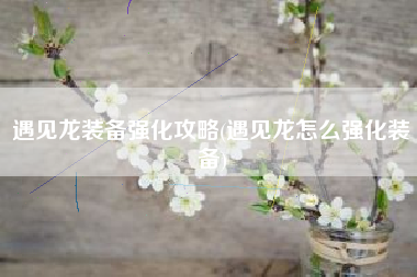 遇见龙装备强化攻略(遇见龙怎么强化装备)