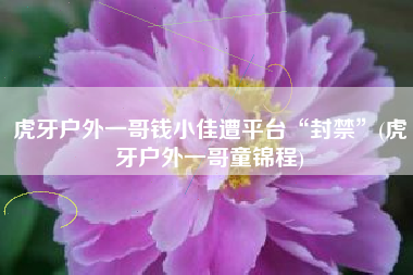 虎牙户外一哥钱小佳遭平台“封禁”(虎牙户外一哥童锦程)