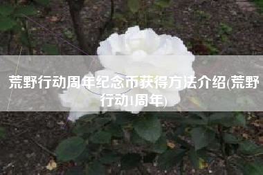 荒野行动周年纪念币获得方法介绍(荒野行动1周年)