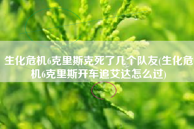 生化危机6克里斯克死了几个队友(生化危机6克里斯开车追艾达怎么过)