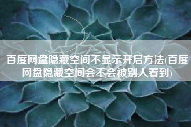 百度网盘隐藏空间不显示开启方法(百度网盘隐藏空间会不会被别人看到)