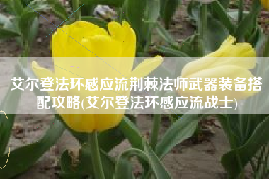 艾尔登法环感应流荆棘法师武器装备搭配攻略(艾尔登法环感应流战士)