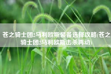 苍之骑士团2马利欧斯装备选择攻略(苍之骑士团2马利欧斯击杀再动)