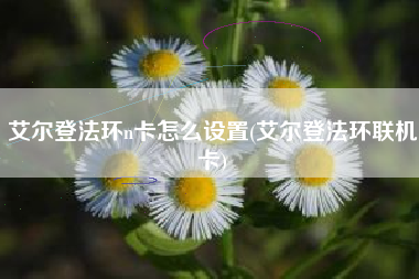 艾尔登法环n卡怎么设置(艾尔登法环联机卡)