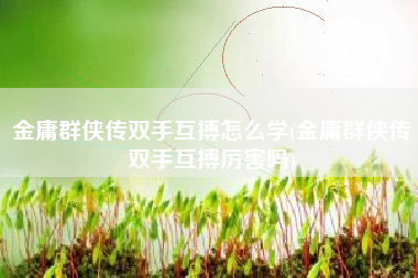 金庸群侠传双手互搏怎么学(金庸群侠传双手互搏厉害吗)