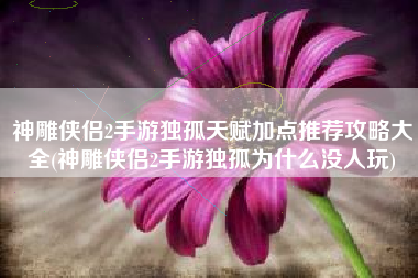 神雕侠侣2手游独孤天赋加点推荐攻略大全(神雕侠侣2手游独孤为什么没人玩)