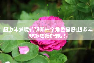 超激斗梦境转职哪一个角色最好(超激斗梦境詹姆斯转职)
